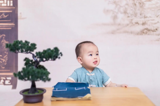 桐城孕妇孕期食谱APP
